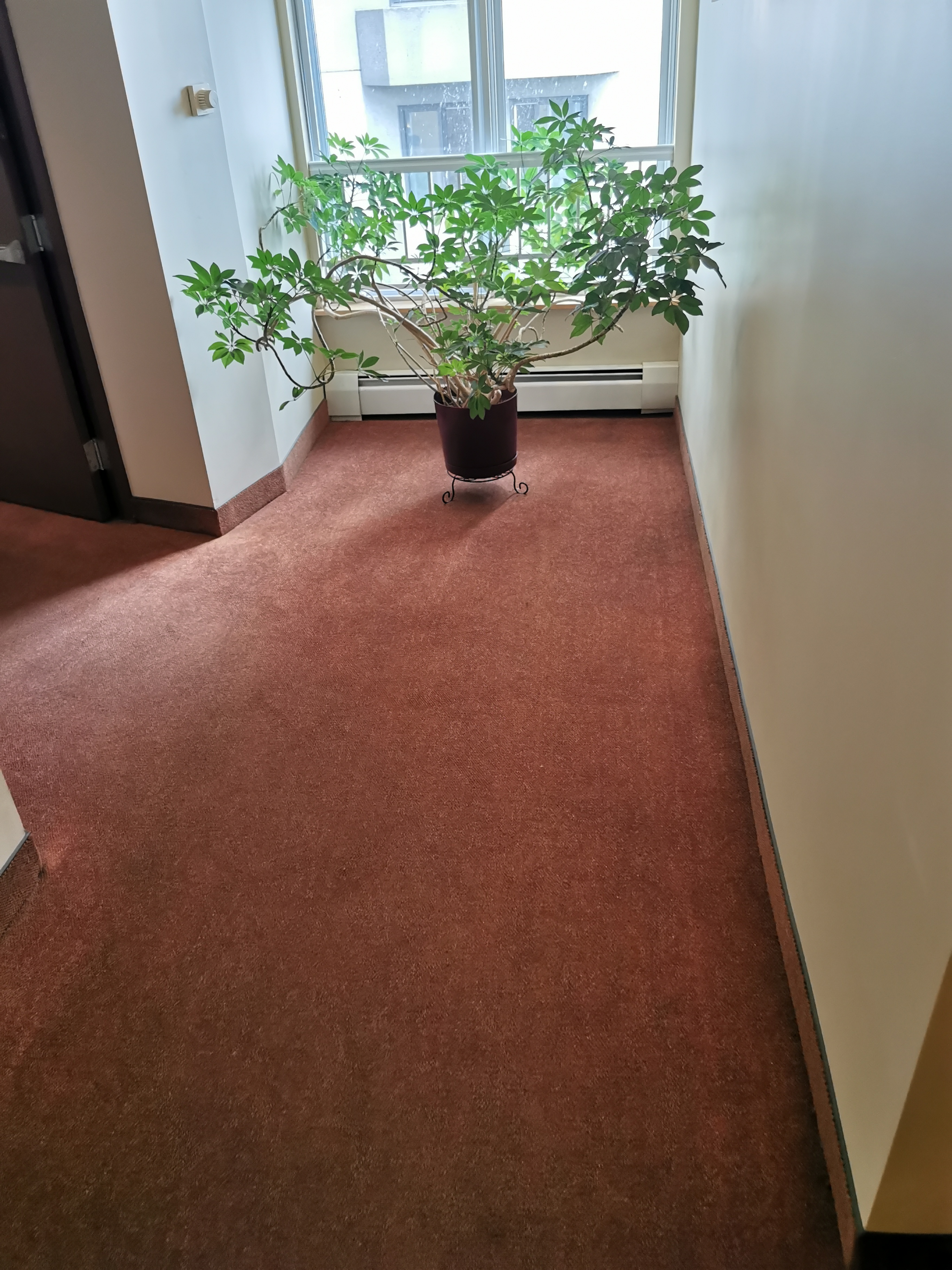 travaux de PRONETCLAIR